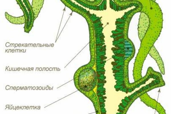 Ссылка кракен kr2web in