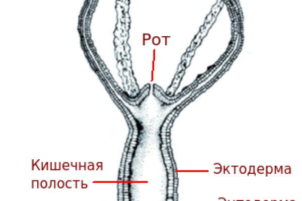 Кракен нарка шоп