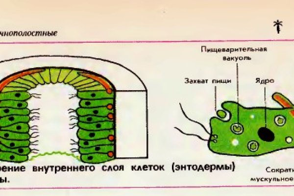 Кракен оф ссылка